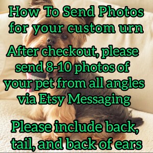 Puede incluir: Un perro peque&ntilde;o con pelaje marr&oacute;n y negro es el punto focal de esta imagen. El texto en fuente verde proporciona instrucciones sobre c&oacute;mo enviar fotos para una urna personalizada. El texto aconseja enviar de 8 a 10 fotos de la mascota desde todos los &aacute;ngulos a trav&eacute;s de Etsy Messaging.