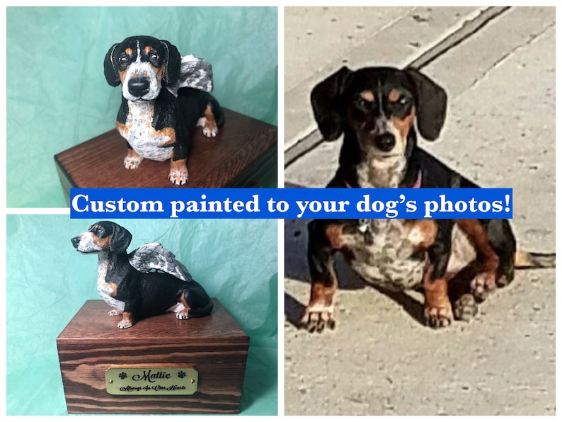 Puede incluir: Una figura de perro salchicha pintada a medida con alas de &aacute;ngel, exhibida en una caja de madera. El perro es negro, marr&oacute;n y blanco. El texto "Custom painted to your dog's photos!" es visible.