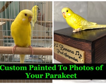 Handpainted Engraved Budgie Parakeet To Your Photos Bird Mini Keepsake Urn Pet Portrait