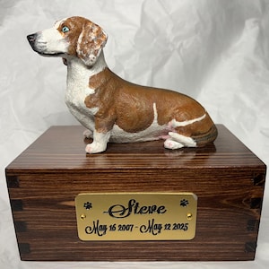 Puede incluir: Una figura de perro salchicha marr&oacute;n y blanco se encuentra sobre una caja de madera oscura. La caja tiene una placa dorada con el nombre "Steve" y fechas. El perro tiene ojos azules y est&aacute; sentado. La caja tiene vetas oscuras.