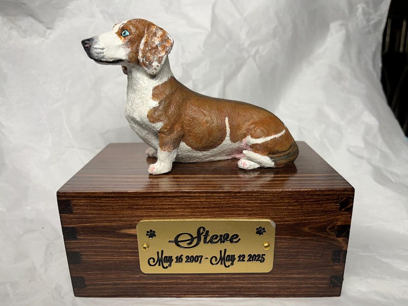 Puede incluir: Una figura de perro salchicha marr&oacute;n y blanco se encuentra sobre una caja de madera oscura. La caja tiene una placa dorada con el nombre "Steve" y fechas. El perro tiene ojos azules y est&aacute; sentado. La caja tiene vetas oscuras.