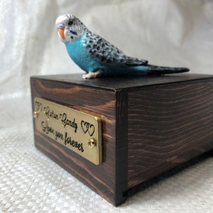 Custom Engraved Budgie Parakeet Handpainted To Your Photos Bird Mini Keepsake Urn Pet Portrait