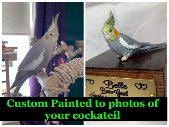 Custom Engraved Cockatiel Bird Mini Keepsake Urn Handpainted to Your Photo Pet Portrait Etsy
