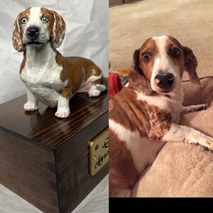 Puede incluir: Una escultura de perro salchicha marr&oacute;n y blanco con ojos azules se encuentra sobre una caja de madera oscura. La escultura presenta patrones de pelaje detallados y una expresi&oacute;n concentrada. La caja tiene una peque&ntilde;a placa dorada.