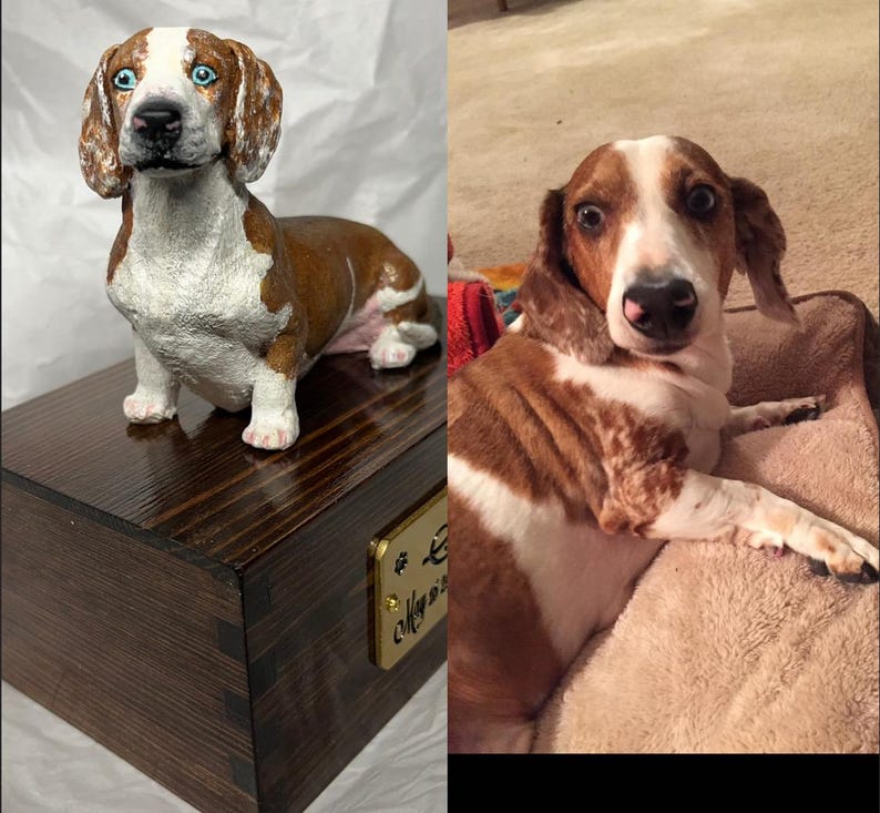 Puede incluir: Una escultura de perro salchicha marr&oacute;n y blanco con ojos azules se encuentra sobre una caja de madera oscura. La escultura presenta patrones de pelaje detallados y una expresi&oacute;n concentrada. La caja tiene una peque&ntilde;a placa dorada.