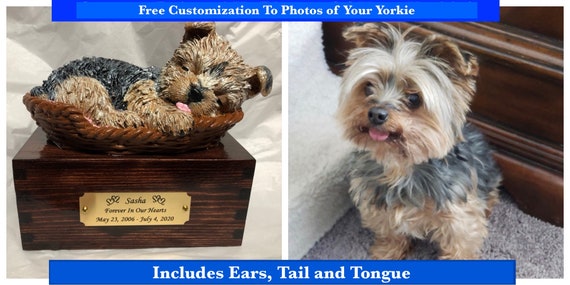 yorkie urn