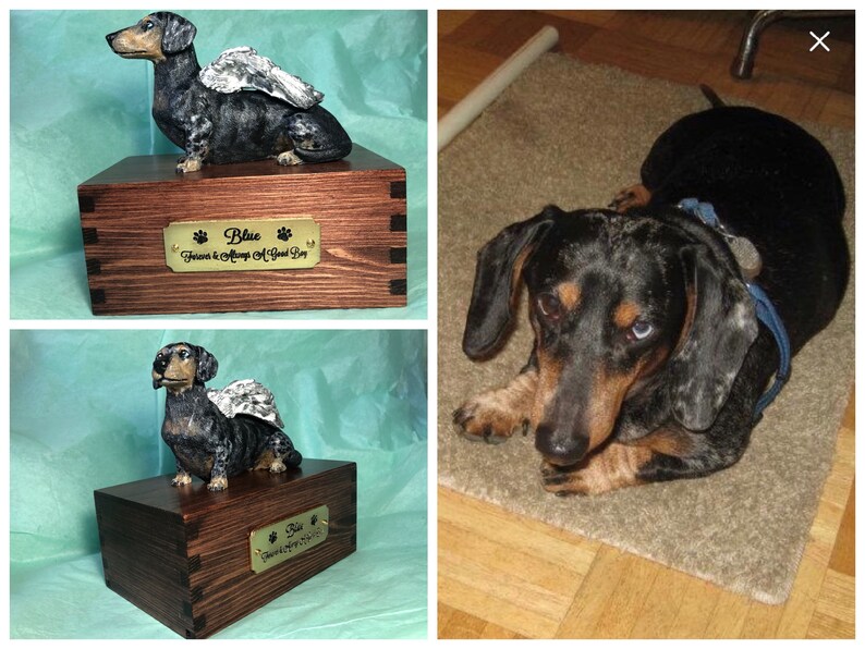 Puede incluir: Urna de madera para mascotas con una figura de perro salchicha con alas de &aacute;ngel. La urna tiene una placa de lat&oacute;n que dice "Blue Forever & Always A Good Boy". El perro salchicha es negro y marr&oacute;n.