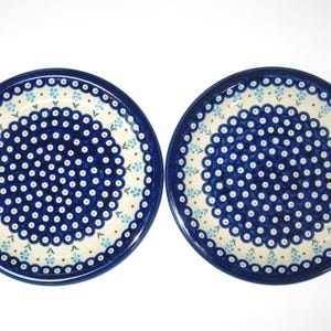 2 Polish Pottery FLOWERING PEACOCK Blue Rose Dinner Plates 11" NEW Old Stock w/ Label; Hand Made Boleslawiec Poland