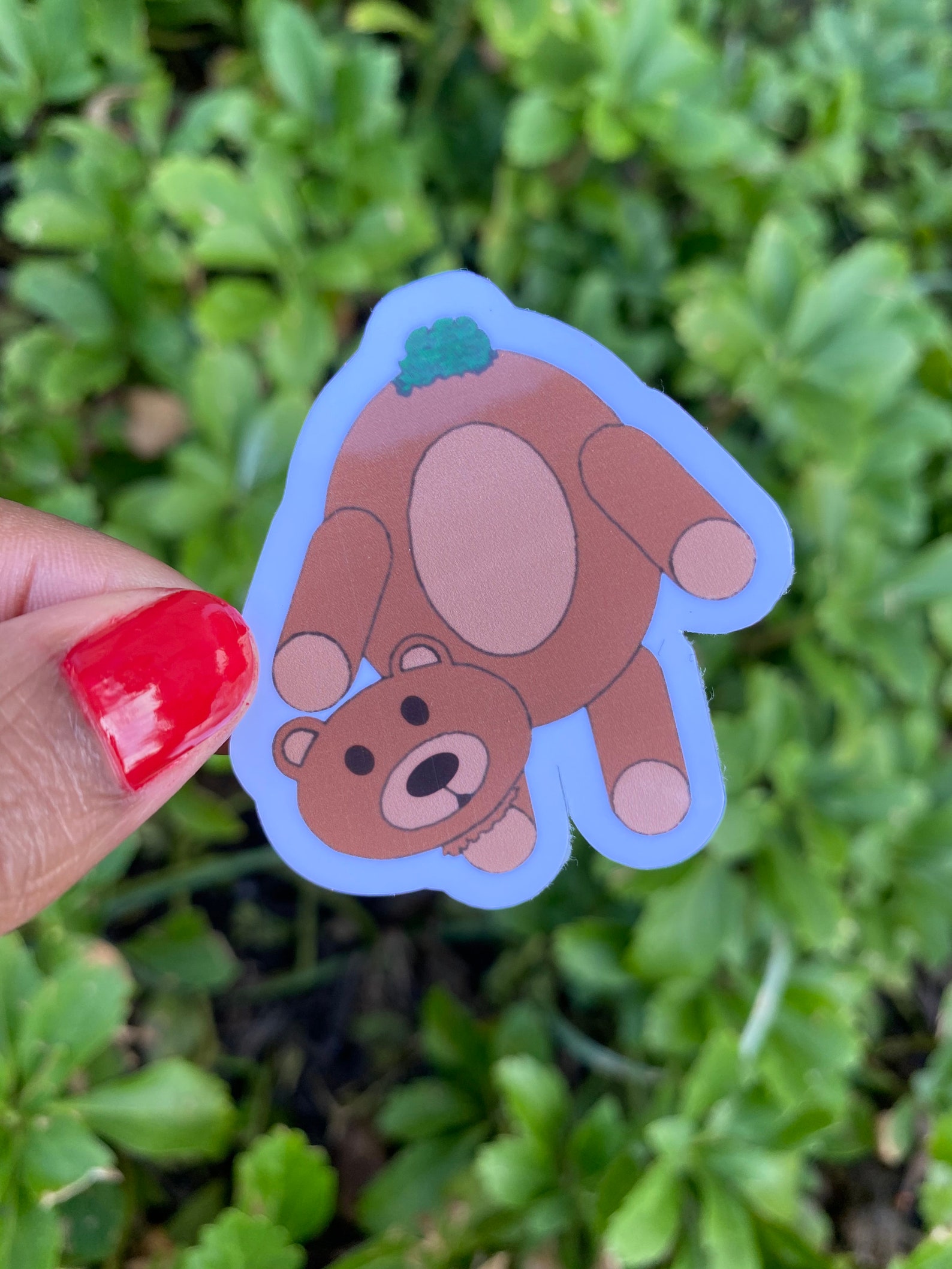 Secret Stash Teddy Sticker Etsy