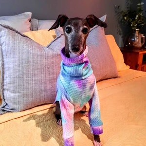 Waffle Weave  Italian Greyhound Tops, Tie Dyed Waffle Weave, Bright Iggy tops. Soft Snooded Waffle Tops