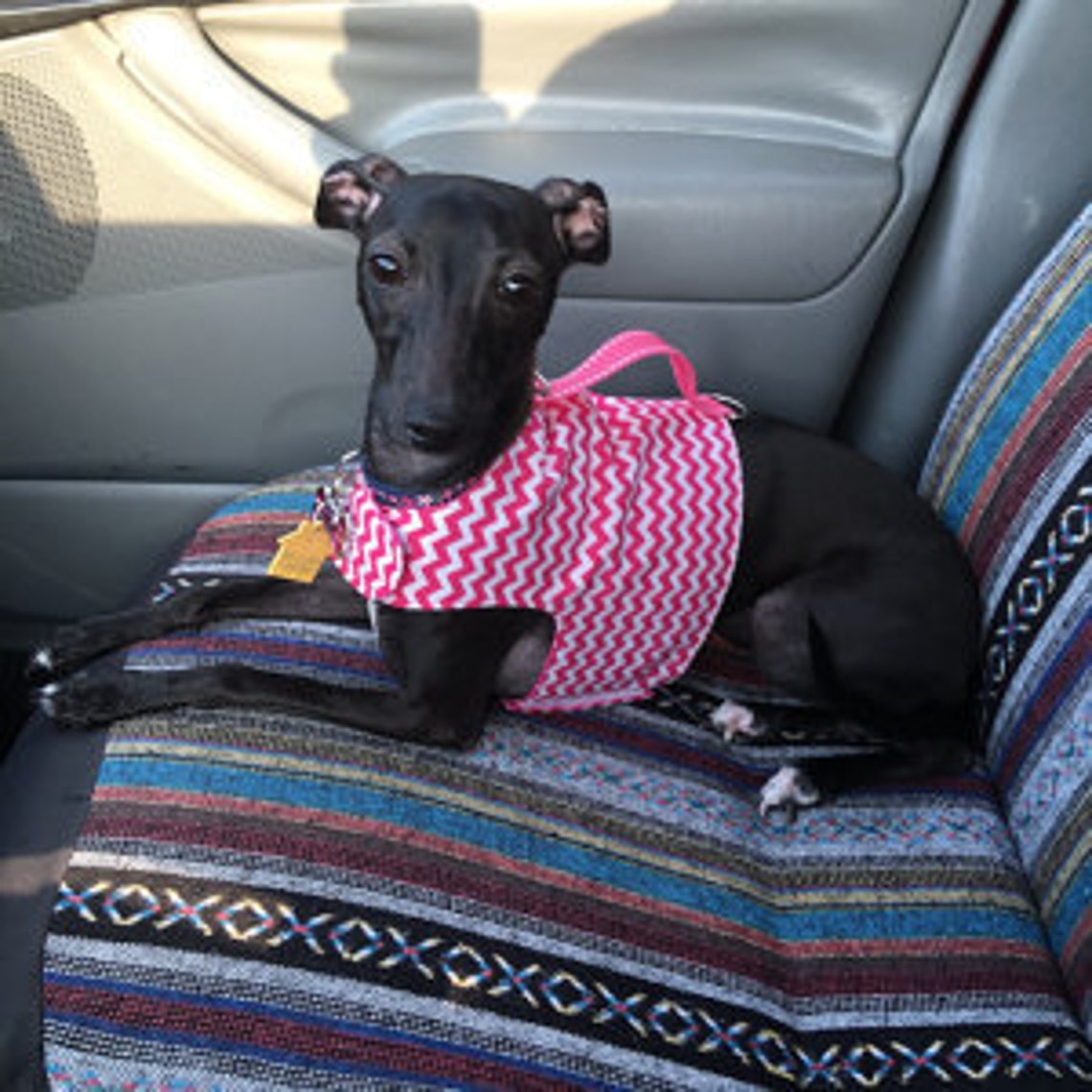 Custom Italian Greyhound Reversible Harness Vests for IGGYs Etsy