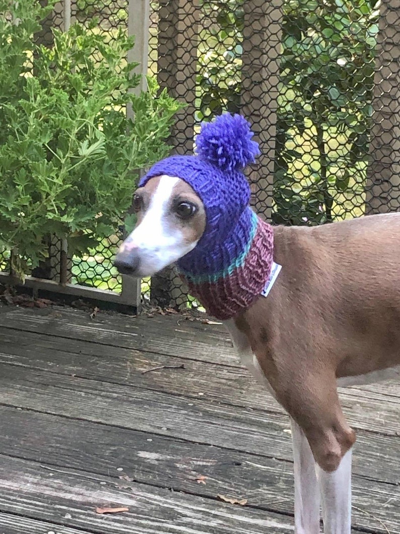 Knitted Italian Greyhound Hats PomPom Hats Warm Snoods Etsy