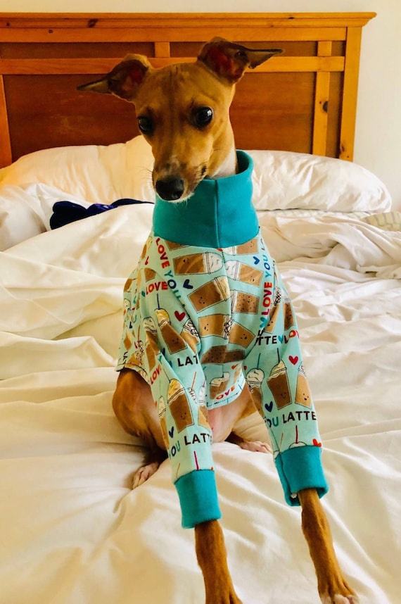 italian greyhound shoes