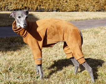 UV Custom Italian Greyhound Bodysuit. Sun Screen 50 UPF Summer Bodysuits for IGGYS and other custom pups