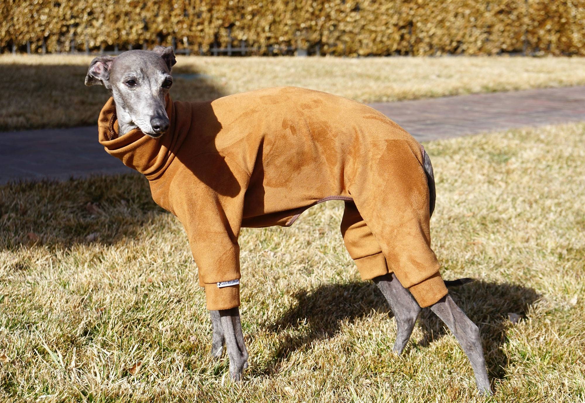 UV Custom Italian Greyhound Bodysuit. Sun Screen 50 UPF Summer Bodysu…