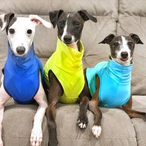 UV Custom Italian Greyhound T shirts and sleeveless turtle necks. UV 50  Shirts. Sun protection for your Iggy