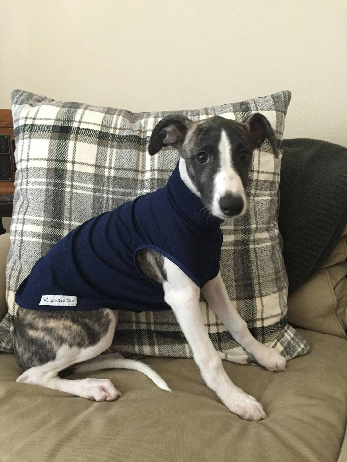 UV Ready to Ship Italian Greyhound Vests. Sleeveless turtle necks.  S…