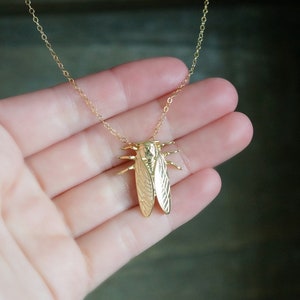 Cicada Necklace // Gold Cicada Pendant on a 14k Gold Filled Chain • Dainty Bug Necklace • Cicada Jewelry • Insect Charm Necklace