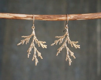 Cypress Earrings // Lightweight Cypress Sprigs on Hypoallergenic 14k Gold Filled Earwires • Dainty and Delicate Earrings • Nature Jewelry