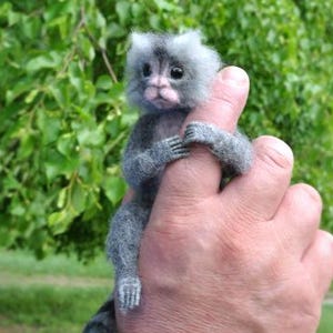 May include: A small, gray and white monkey plush toy is held in a person's hand. The monkey has a long tail and is sitting upright with its hands clasped together.