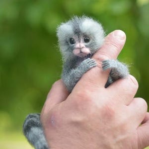 Made to order, Monkey, Gifts, Marmoset monkey, Miniature monkey, Pygmy marmoset,  Animal monkey, Felted monkey, Grey monkey, Felted marmoset