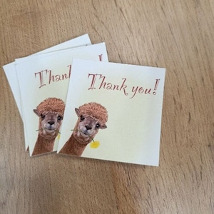 Thank you postcard,Postcards - Set of 5, Mini postcard, Thank you notes,Handprinted card,  Mini Art Print Set, Card Bundle, Cards, Art Gift