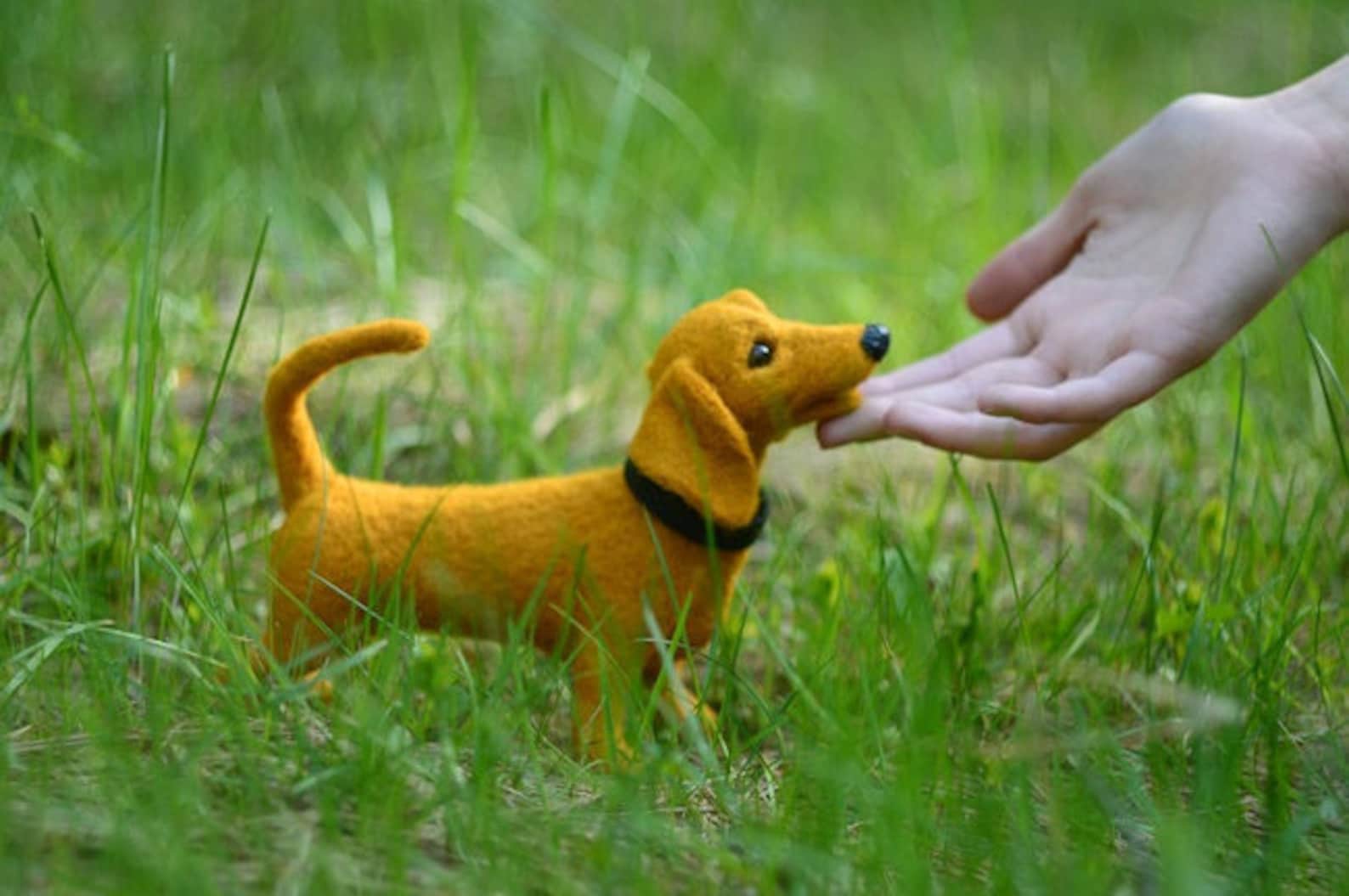 MADE TO ORDER Senf Dackel Dackel Haustier gefilzt Hund lustige Etsy