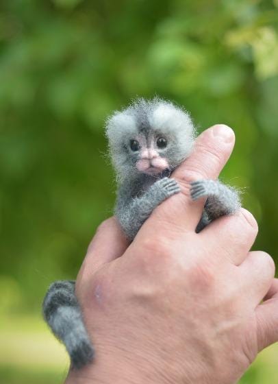 Made to order, Monkey, Gifts, Marmoset monkey, Miniature monkey, Pygmy marmoset,  Animal monkey, Felted monkey, Grey monkey, Felted marmoset