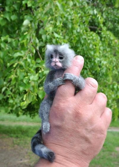 Made to order, Monkey, Gifts, Marmoset monkey, Miniature