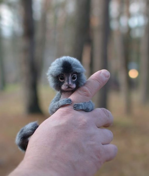 Figurine De Collection Marmoset Sculpture Marmoset Singe Etsy