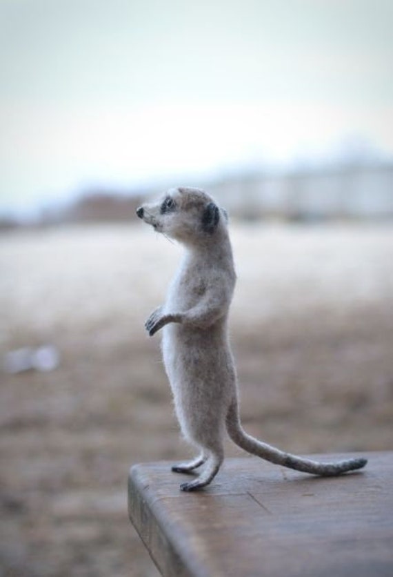 Mama Meerkat T-Shirt Gifts For Mother Mama Meerkat T-Shirt Gifts For Mother