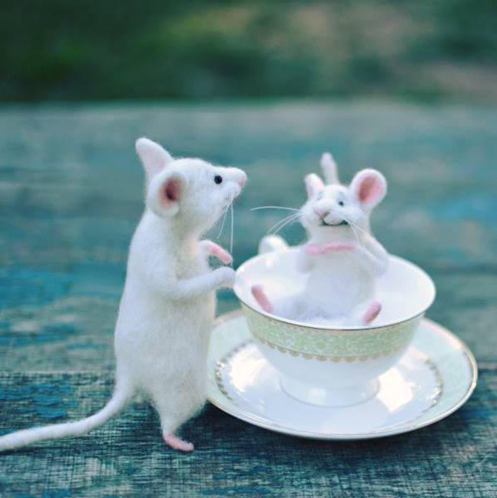 MADE TO ORDER Weiße Mäuse Maus in der Tasse Süße Maus Maus in | Etsy