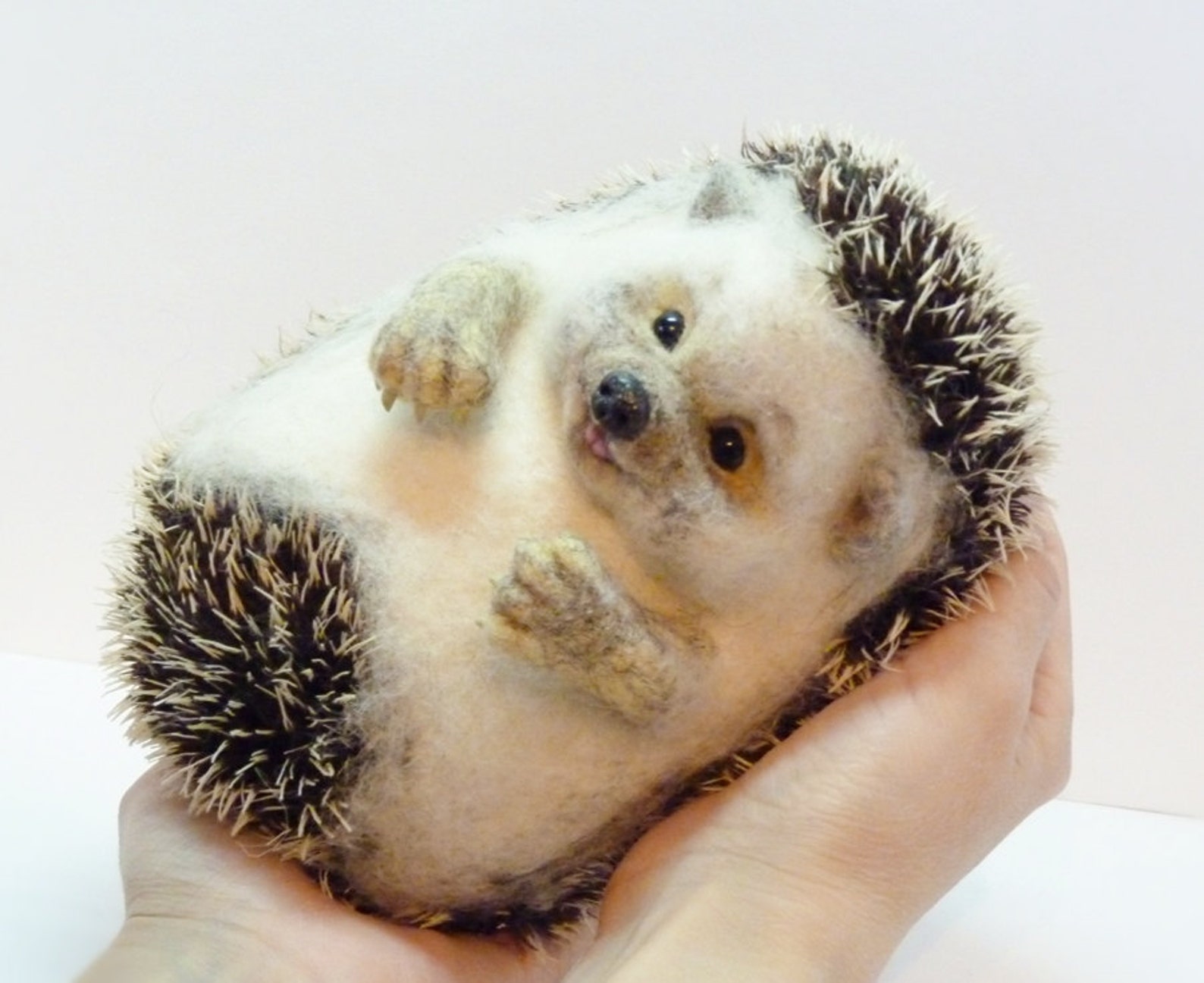 Needle felted hedgehog MADE TO ORDER Needle felted animal Etsy
