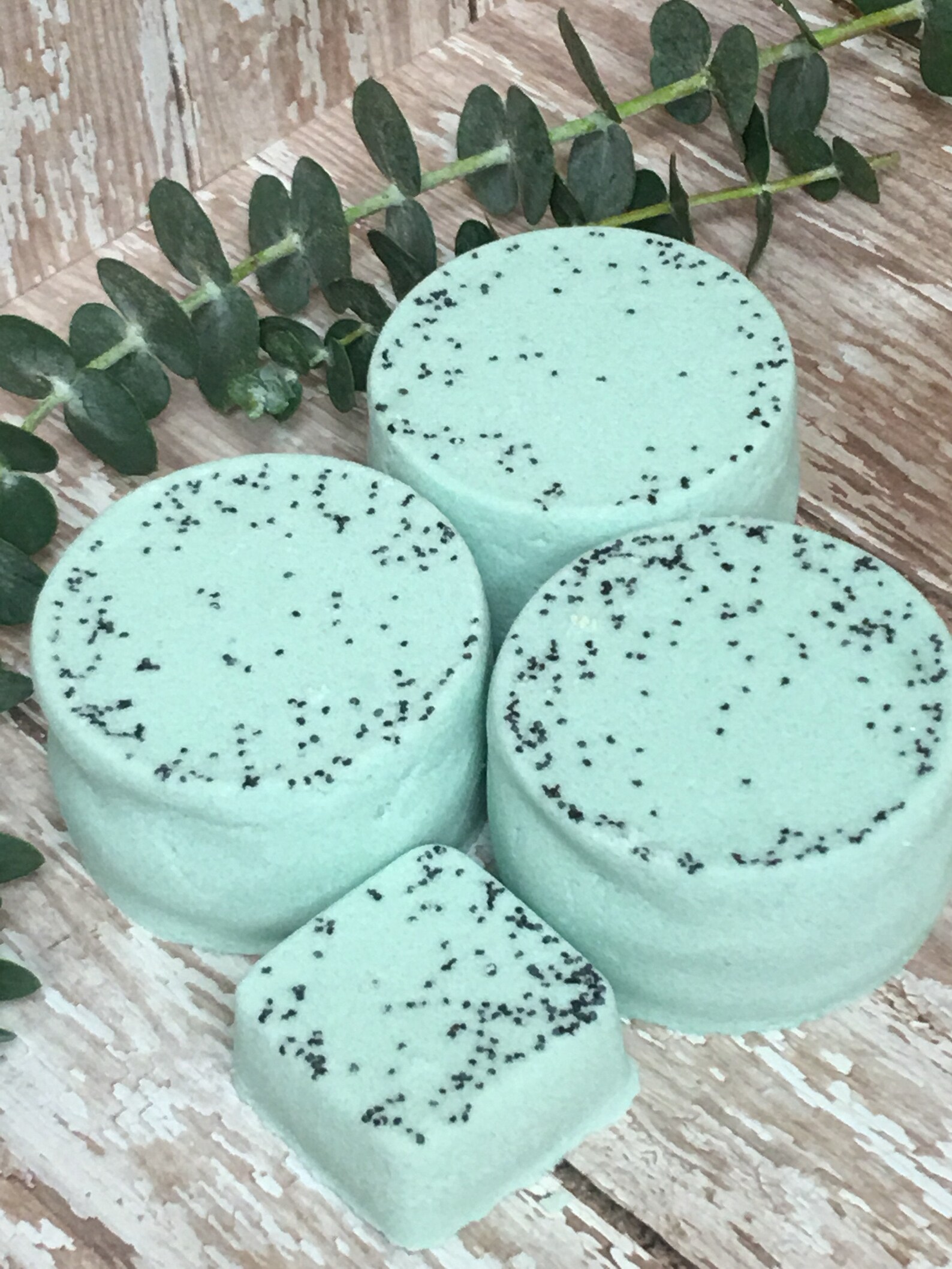 Eucalyptus Shower Steamer Bath Bomb aromatherapy Shower Etsy