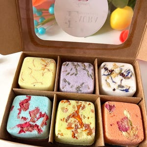 Bath Bomb Spa Gift Set of 12, Natural Aromatherapy Botanical Spa Bath Bombs, Spa Gift for Her Him, Gift Summer Bath Bombs, Gift for Mom
