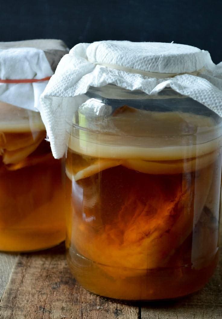 Huge Organic Kombucha SCOBY Culture (4"-6")