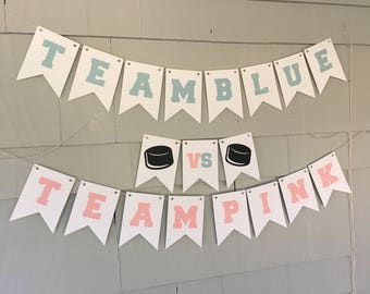 May include: A white banner with blue and pink pennants that read "Team Blue" and "Team Pink". The pennants are strung together with a white string. There are two black hockey pucks between the banners with the word "VS" in between them.