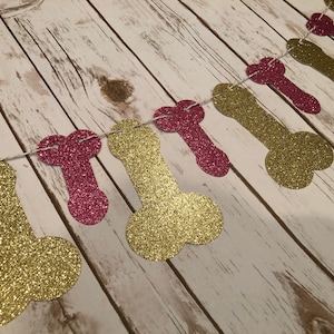 CHOOSE COLOR Penis Bachelorette Garland, Penis Bachelorette Decor, Penis Party Decor, Hen Party Decor, Hen Penis Party Banner, Penis Banner