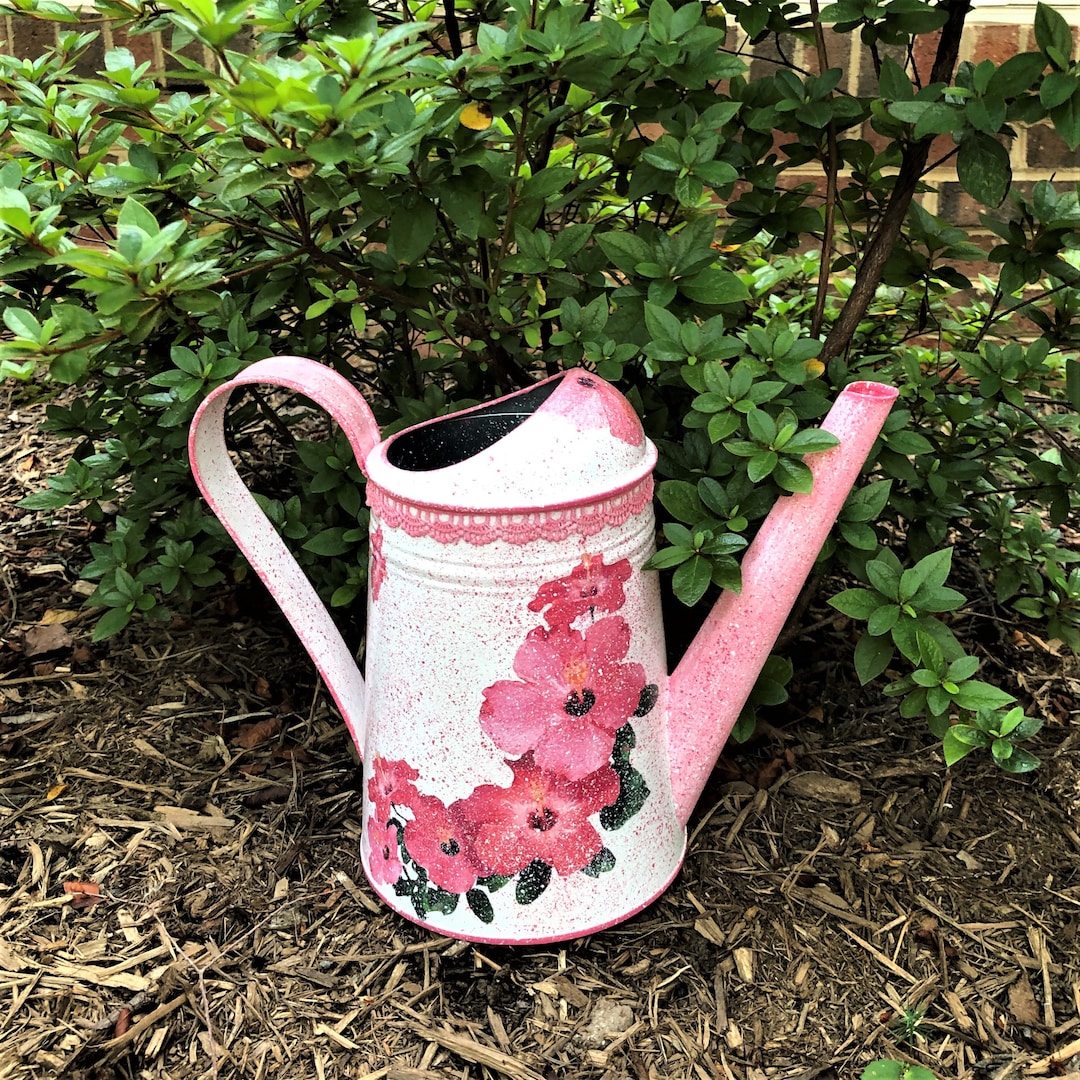 Metal Watering Can, Metal Water Can, Gift for Mom, Garden Decor, Indoor