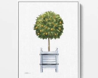 Orange Tree Topiary, Stretched Canvas Art Print