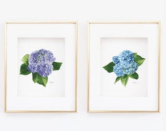 Hydrangea Art Prints, Botanical Giclée Set of 2