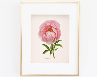 May include: A framed illustration of a single pink peony flower with green leaves and a gold frame.