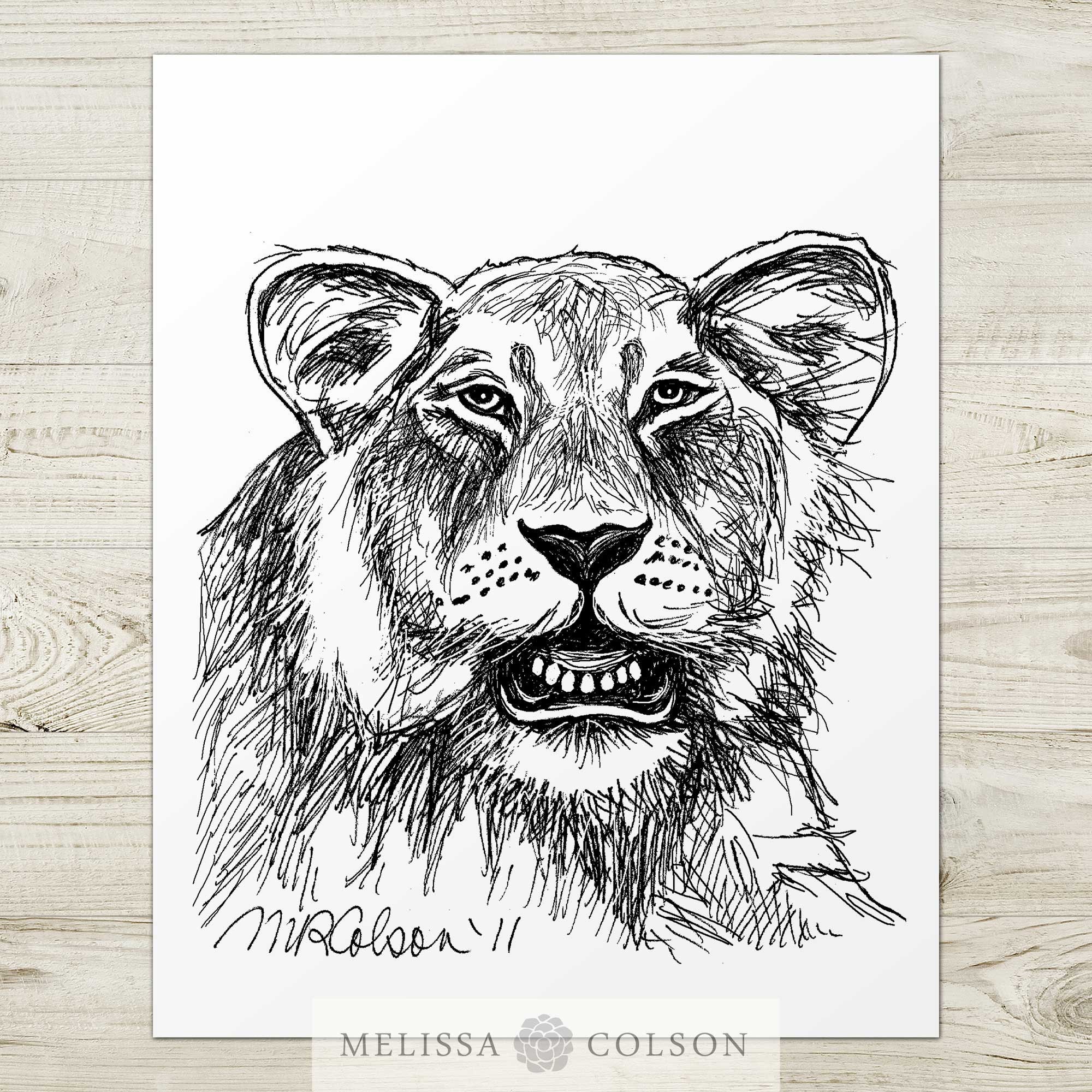 Lion 2 of 3 Pen and Ink Print 5x7 8x10 11x14 13x19 Etsy
