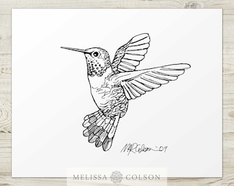 Hummingbird Print, Giclée Pen and Ink Illustration, Wildlife Art