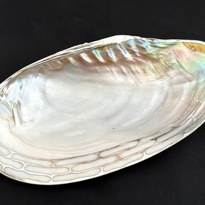May include: An iridescent, oval-shaped seashell with a pearlescent interior. The shell's edge is adorned with a silver-colored, geometric design. The shell's interior reflects a spectrum of colors, including blues, greens, and golds.