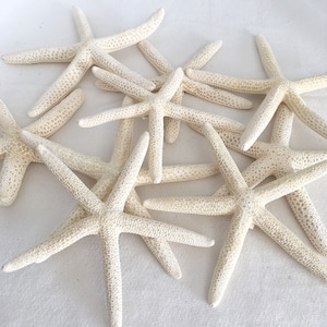 Starfish Finger Pencil Starfish 4-6&quot;, Craft Starfish Supplies, Beach Wedding Favor, Wedding Decor, White Starfish Decor