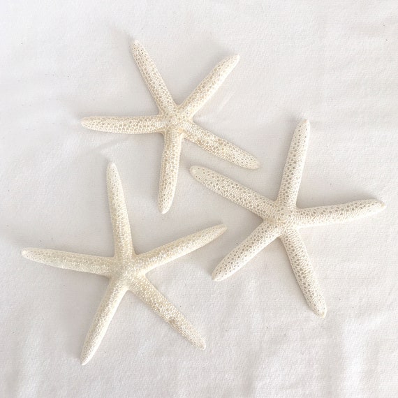 Bubble Wrap Starfish Craft - No Time For Flash Cards
