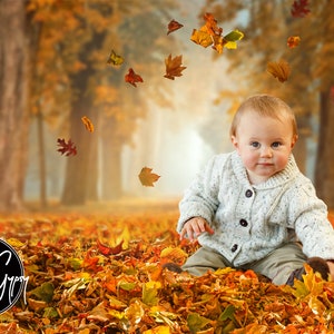 Autumn Leaves Digital Background + Leaf Pile Overlay PNG