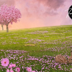 Easter Bunnies/Spring Field - TWO digital backgrounds!