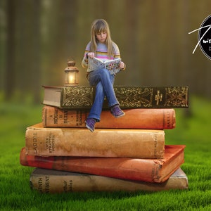 Fairytale Forest Books - Digital Background